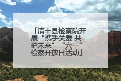清丰县检察院开展“携手关爱 共护未来”“六一”检察开放日活动
