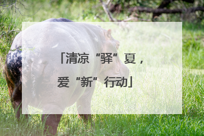 清凉“驿”夏，爱“新”行动