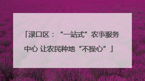 渌口区：“一站式”农事服务中心 让农民种地“不操心”