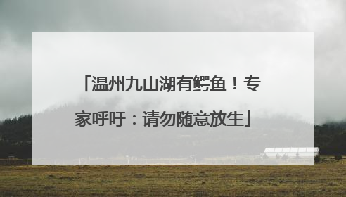 温州九山湖有鳄鱼！专家呼吁：请勿随意放生
