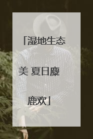 湿地生态美 夏日麋鹿欢