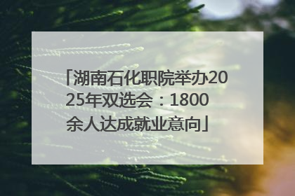 湖南石化职院举办2025年双选会：1800余人达成就业意向