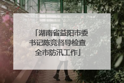 湖南省益阳市委书记陈竞督导检查全市防汛工作