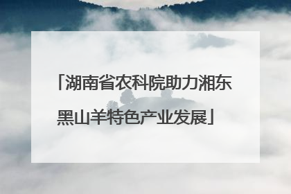 湖南省农科院助力湘东黑山羊特色产业发展