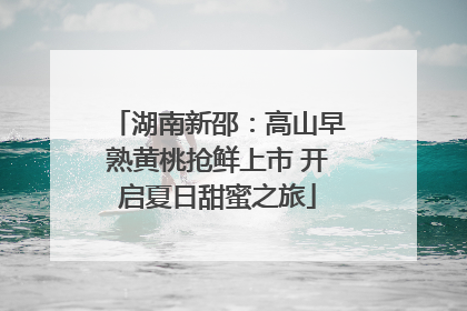 湖南新邵：高山早熟黄桃抢鲜上市 开启夏日甜蜜之旅