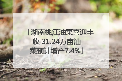 湖南桃江油菜喜迎丰收 31.24万亩油菜预计增产7.4%