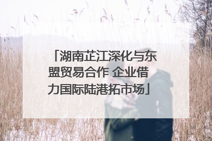 湖南芷江深化与东盟贸易合作 企业借力国际陆港拓市场