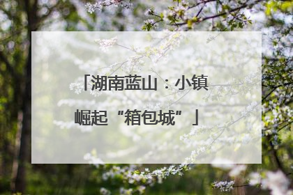 湖南蓝山：小镇崛起“箱包城”