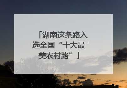 湖南这条路入选全国“十大最美农村路”