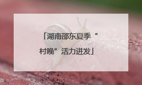 湖南邵东夏季“村晚”活力迸发