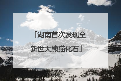 湖南首次发现全新世大熊猫化石