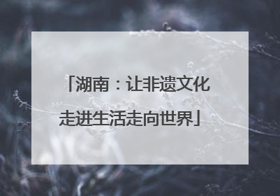 湖南：让非遗文化走进生活走向世界