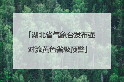 湖北省气象台发布强对流黄色省级预警