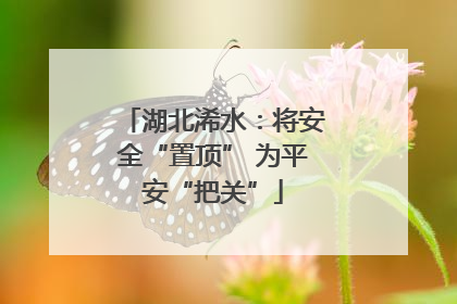 湖北浠水：将安全“置顶” 为平安“把关”
