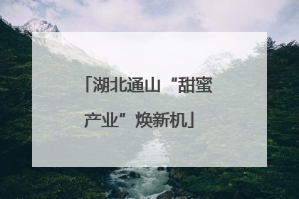 湖北通山“甜蜜产业”焕新机