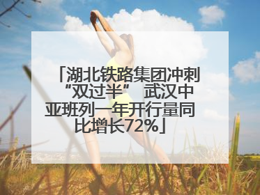 湖北铁路集团冲刺“双过半” 武汉中亚班列一年开行量同比增长72%