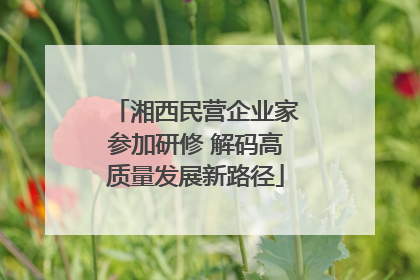 湘西民营企业家参加研修 解码高质量发展新路径
