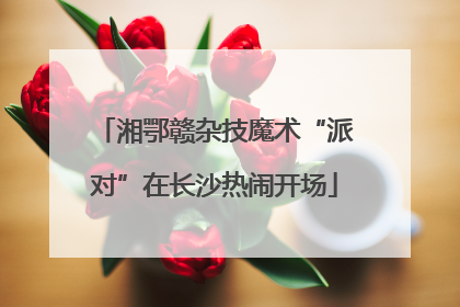 湘鄂赣杂技魔术“派对”在长沙热闹开场