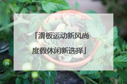 滑板运动新风尚 度假休闲新选择