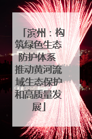滨州：构筑绿色生态防护体系 推动黄河流域生态保护和高质量发展