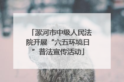 漯河市中级人民法院开展“六五环境日”普法宣传活动