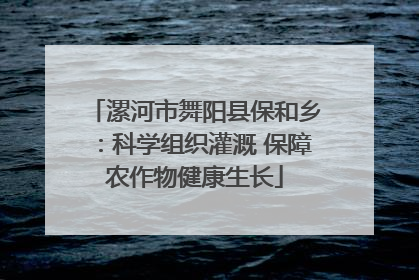 漯河市舞阳县保和乡：科学组织灌溉 保障农作物健康生长