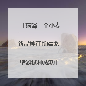 菏泽三个小麦新品种在新疆戈壁滩试种成功