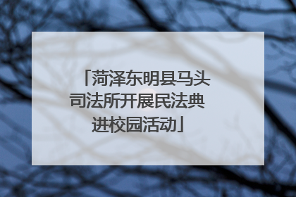 菏泽东明县马头司法所开展民法典进校园活动