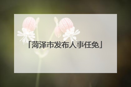 菏泽市发布人事任免