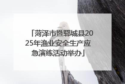 菏泽市暨郓城县2025年渔业安全生产应急演练活动举办