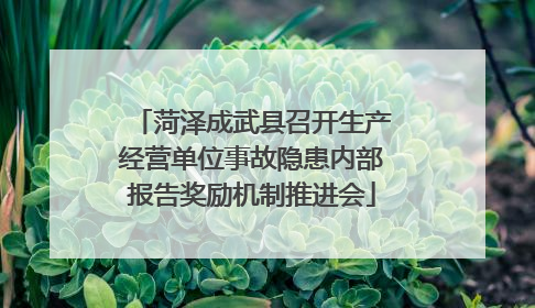 菏泽成武县召开生产经营单位事故隐患内部报告奖励机制推进会
