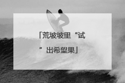 荒坡坡里“试”出希望果