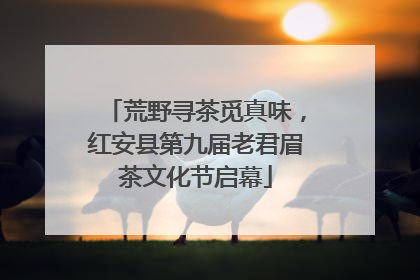 荒野寻茶觅真味，红安县第九届老君眉茶文化节启幕