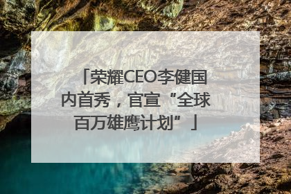 荣耀CEO李健国内首秀，官宣“全球百万雄鹰计划”