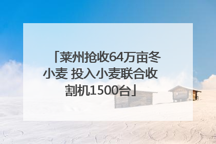 莱州抢收64万亩冬小麦 投入小麦联合收割机1500台