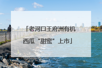 老河口王府洲有机西瓜“甜蜜”上市