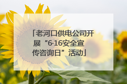 老河口供电公司开展“6·16安全宣传咨询日”活动