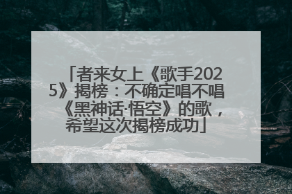 者来女上《歌手2025》揭榜：不确定唱不唱《黑神话·悟空》的歌，希望这次揭榜成功