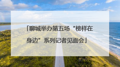 聊城举办第五场“榜样在身边”系列记者见面会
