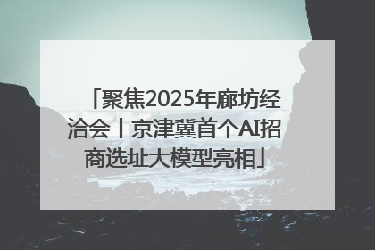 聚焦2025年廊坊经洽会丨京津冀首个AI招商选址大模型亮相