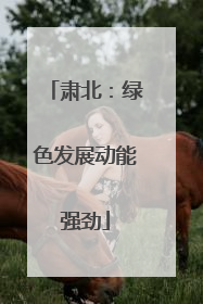肃北：绿色发展动能强劲