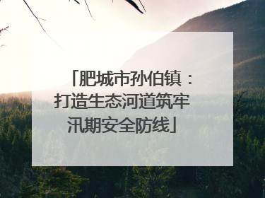 肥城市孙伯镇：打造生态河道筑牢汛期安全防线
