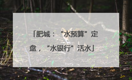 肥城：“水预算”定盘，“水银行”活水