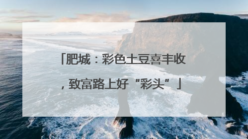肥城：彩色土豆喜丰收，致富路上好“彩头”