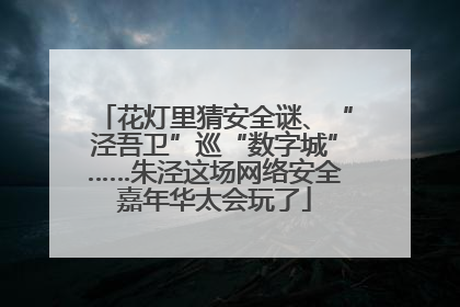 花灯里猜安全谜、“泾吾卫”巡“数字城”……朱泾这场网络安全嘉年华太会玩了
