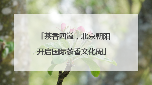 茶香四溢，北京朝阳开启国际茶香文化周