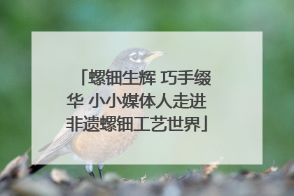 螺钿生辉 巧手缀华 小小媒体人走进非遗螺钿工艺世界