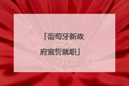 葡萄牙新政府宣誓就职