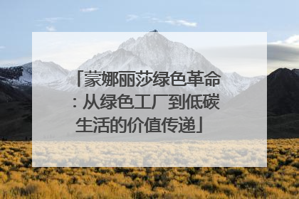 蒙娜丽莎绿色革命：从绿色工厂到低碳生活的价值传递