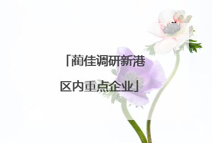 蔺佳调研新港区内重点企业